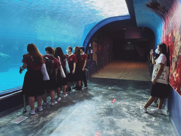 Институт морских наук в Чонбури (Institute of marine Science)